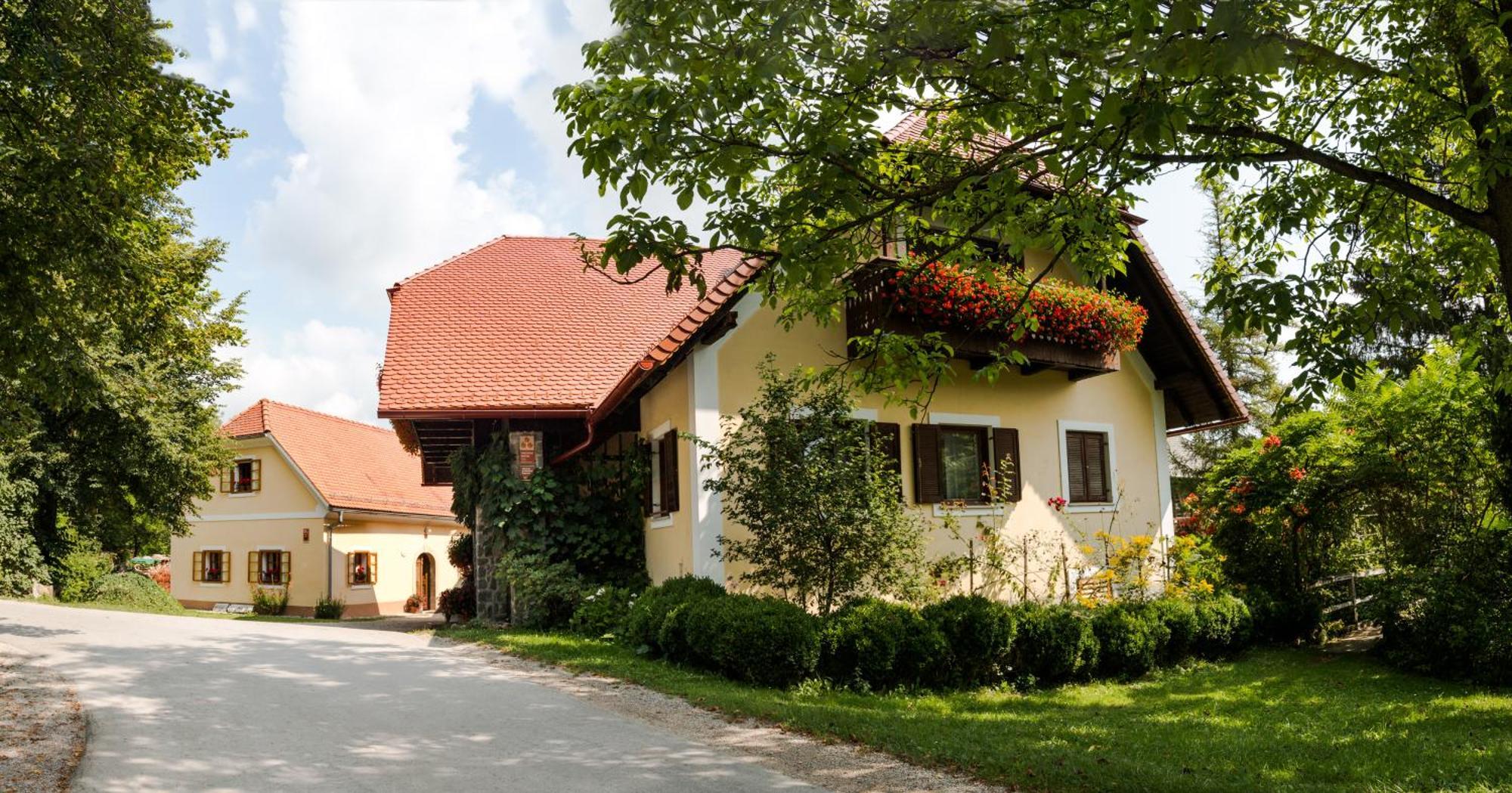 Farm Sorzev Mlin Villa Nova Cerkev Exterior photo