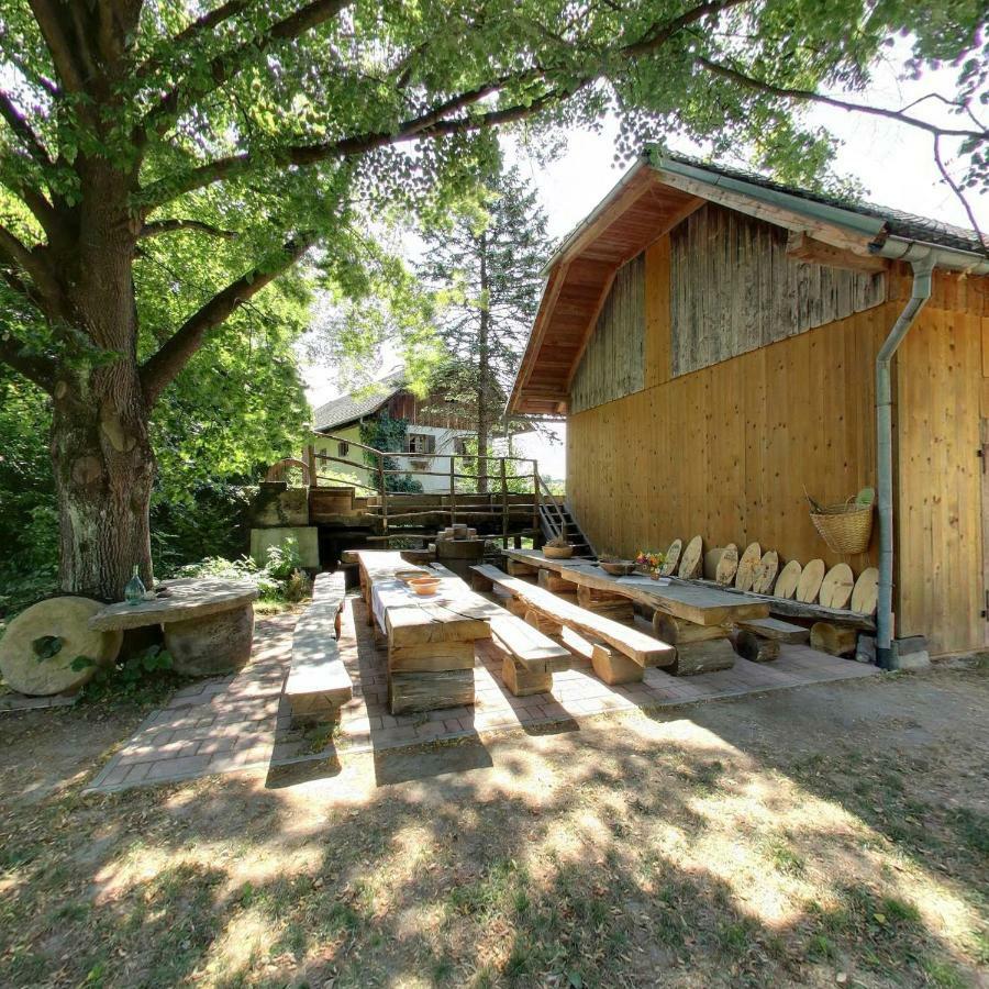 Farm Sorzev Mlin Villa Nova Cerkev Exterior photo